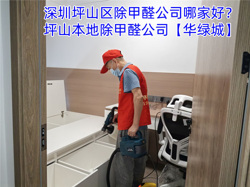 深圳罗湖区除甲醛.jpg