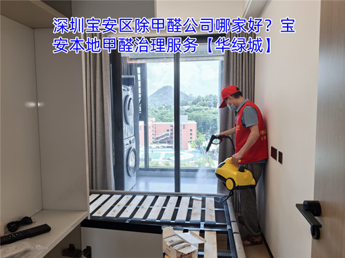 罗湖本地上门除甲醛.jpg